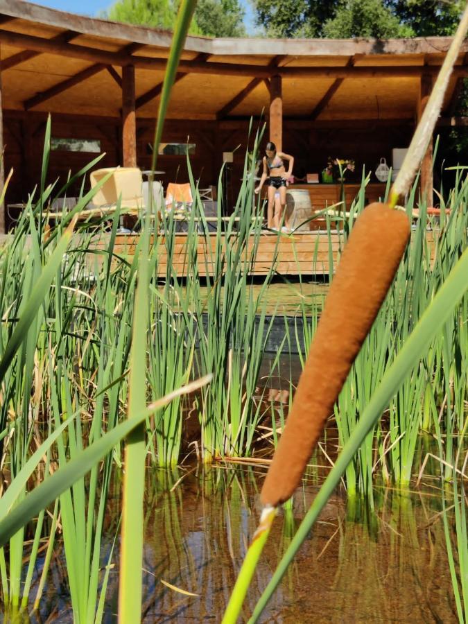 Ferienwohnung L'Etang Des Cigales Uchaux Exterior foto