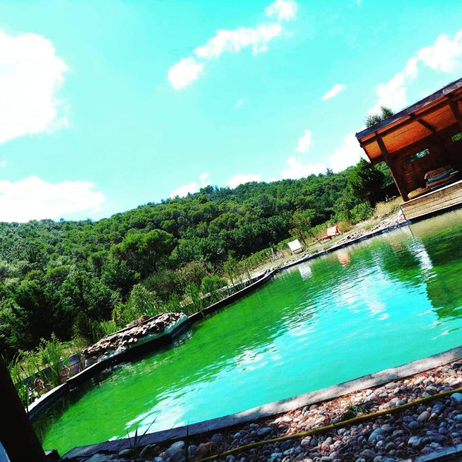 Ferienwohnung L'Etang Des Cigales Uchaux Exterior foto